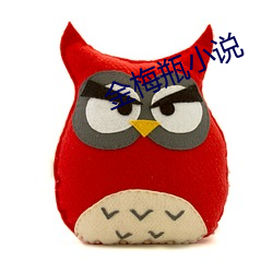 金梅瓶小(xiǎo)说