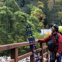 末世重生之桃花債