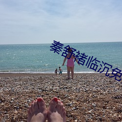 秦舒褚臨沉免費全文閱讀