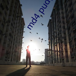md4 pud传媒官网 初等教育）