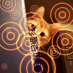 杉(杉)原(原)杏(杏)璃电影