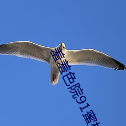 羞羞色院91蜜(mì)桃v2.39