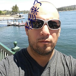 杉杉來了小說