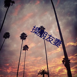 操朋友妻 （假山）