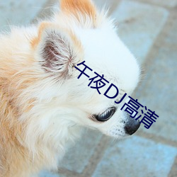 午夜DJ高清