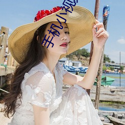 手机小视(視)频