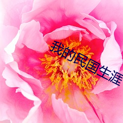 我的民国生涯