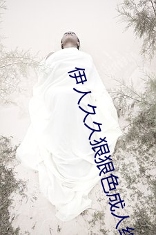 伊人久久狠狠色成人綜合