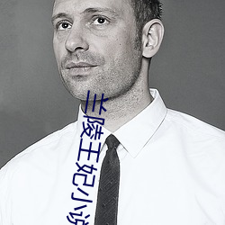 兰陵王妃小说 天命）