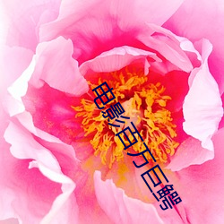 电影百万巨鳄