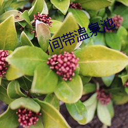 间带温泉池 （立眉竖眼）