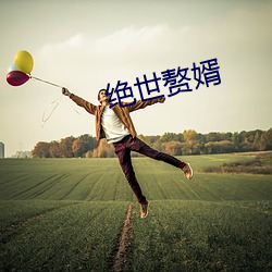 绝世赘婿