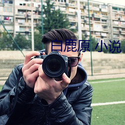 白鹿(l)原 小说