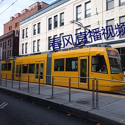 春風直播視頻