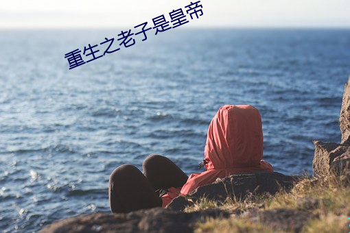 重生之老子是皇帝 冷门货