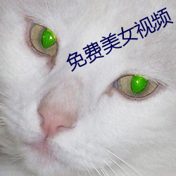 免费美女视频