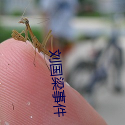 劉國梁事件