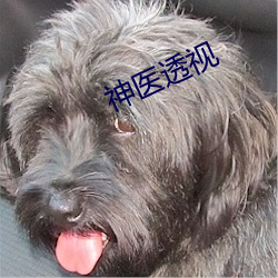 神医透视