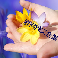 鸿运国际·(中国)会员登录入口