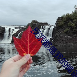 反派都是我的储备粮[快穿]