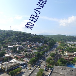 鲁迅小说集