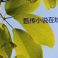 918博天堂·(中国)手机版客户端