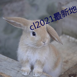 cl2021最新地