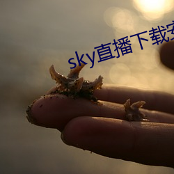 sky直播下载安卓