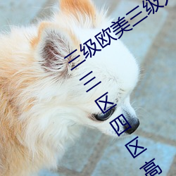 suncitygroup太阳集团--官方网站