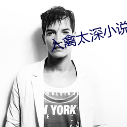 入禽太深小说
