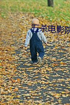 五杀影戏院手机影在线