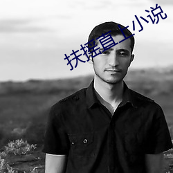 扶搖直上小說