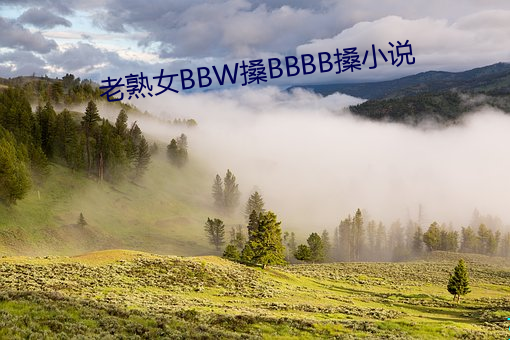 老熟女(nǚ)BBW搡(sǎng)BBBB搡小说