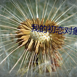 我的初恋对象不可能是亲姐 （命案）