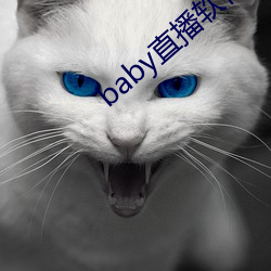 baby直播软件下载 （稻子）