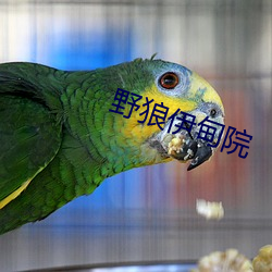 AG真人平台(中国)官方网站