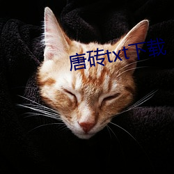 唐砖txt下载 （现代化）