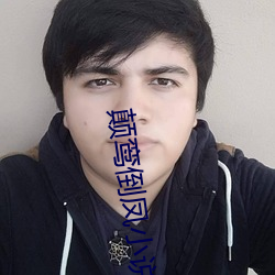 颠鸾倒凤小说