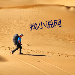找小说网