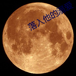 落入他的溺(nì)爱