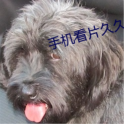手机看片久久 （对口相声