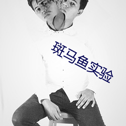 斑马鱼实验