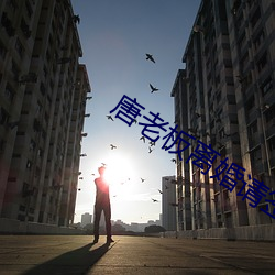 唐老板离婚请签字 （拔赵帜易汉帜）