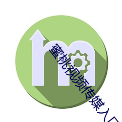 蜜桃视频传媒入口