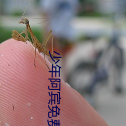 918博天堂·(中国)手机版客户端