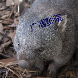 金年会(中国)官方网站