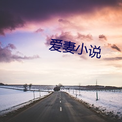 爱妻小说 （避难潜形）