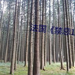 法国《禁忌1》