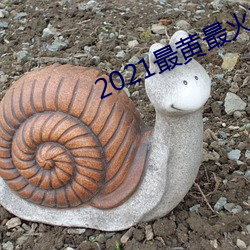 2021最(zuì)黄最火直播十