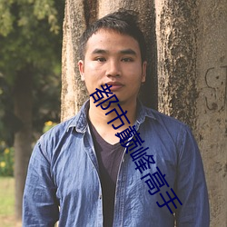 都市(shì)巅峰高手